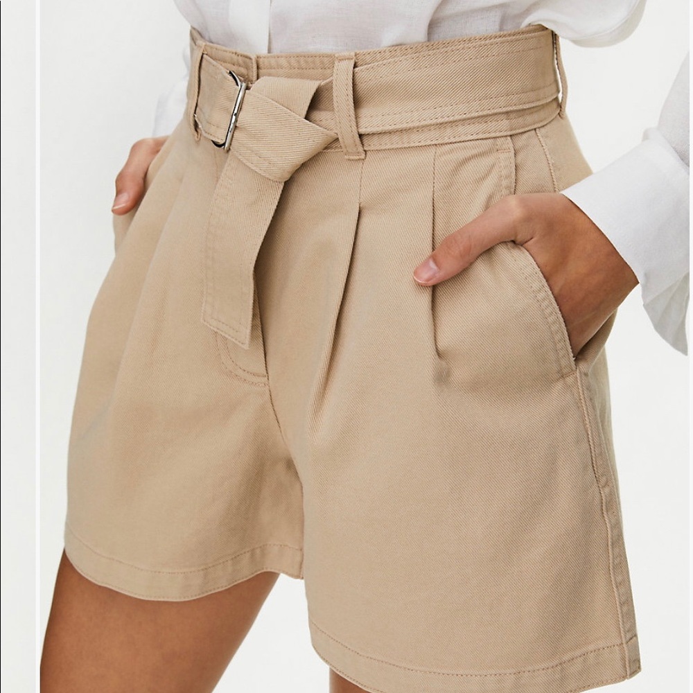 NWT Aritzia Antares Short